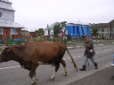 DSCN1019
