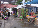 DSCN1034
